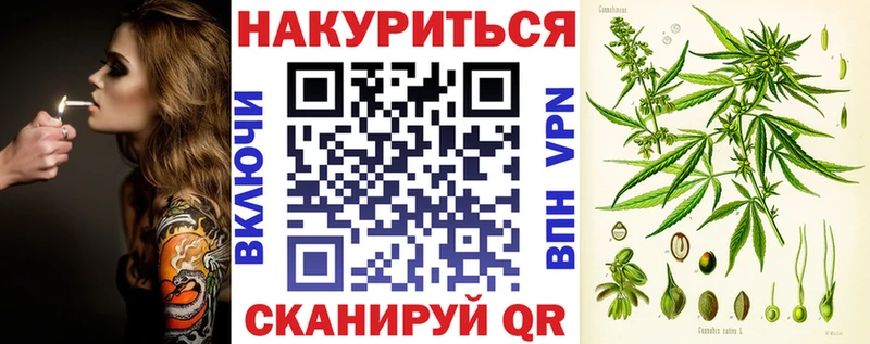 Каннабис ГИДРОПОН  Купить где  Михайловск 